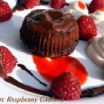 Chocolate Raspberry Garland